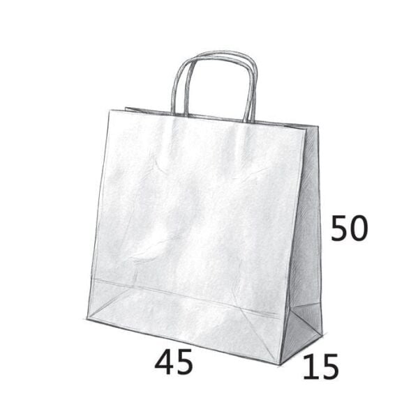 Burgu Saplı Kağıt Çanta - 45x15x50 Kraft - Çift Yön Baskılı - 1000 Adet